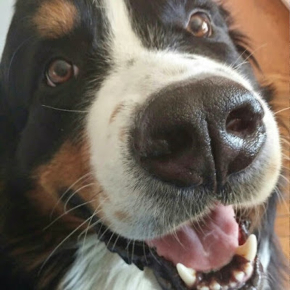 Meet your Posher, Mary frances - Picture 1 of 1